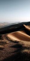 Rolling landscape with dried grass in Eastern Washington photo