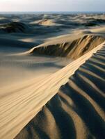 Morning light on sand dunes at Guadalupe-Nipomo Dunes Preserve photo