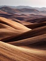 Rolling hills of the Palouse region in Washington State photo