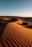 Warm evening light casts shadows on the golden sand dunes of the desert photo