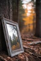 Mirror reflects Autumn trees in a Woodland forest scene photo