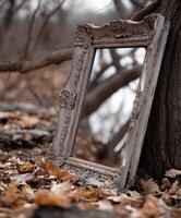 Ornate empty picture frame leaning against a tree in autumn photo