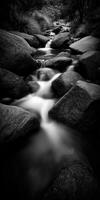 Black and white stream flows through boulders in the forest photo