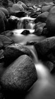 Mountain stream cascades over rocks in Great Smoky Mountains photo