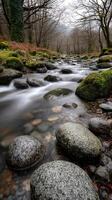 Tranquil stream flows through rocky autumn forest in Nant Gwynant photo