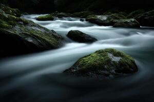 Flowing water around moss covered rocks in Appalachian Mountains photo