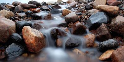 Water Flowing Between Rocks in a Forest during the Daytime photo