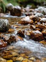 Clear mountain stream cascading over rocks and stones photo