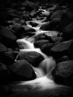 Water flows down a rocky stream in great smoky mountains national park photo