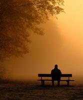 Person rests on a bench in park on foggy morning photo