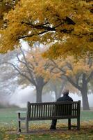 Senior man sits on a bench under Autumn trees in foggy Park photo