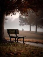 Peaceful bench under tree on foggy morning in Autumn Park photo