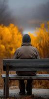 Person sits on a park bench during Autumn season photo