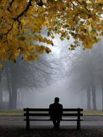 Man sits on bench in foggy park during autumn photo