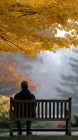 Man sits on bench under autumn foliage on foggy morning photo