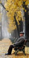 Senior man sitting on bench in autumn park during foggy weather photo