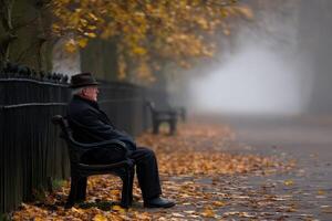 Old Man Sitting on Bench in Foggy Hyde Park during Autumn photo
