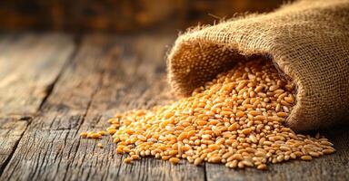 Golden grains spill from burlap sack. Grains cascade from a burlap sack onto a rustic wooden surface, creating a warm and inviting atmosphere. photo