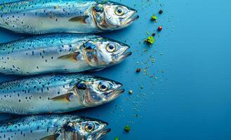 Fresh mackerel prepared for cooking. Four whole mackerel arranged neatly, ready for cooking, surrounded by spices and herbs on a blue table. photo