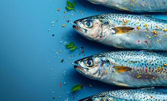 Spiced mackerel on blue surface. Three fresh mackerel lined up on a blue surface, garnished with herbs and spices, ready for cooking or presentation. photo