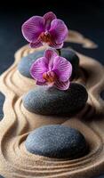 Orchid flowers on pebbles in sand. Beautiful pink orchids rest atop smooth pebbles on fine sand, creating a serene and calming atmosphere. photo