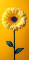 Yellow sunflower on a bright bg. A lone sunflower with yellow petals and a blue center stands out against a vibrant yellow background. photo