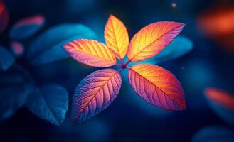 Vibrant leaves glow in evening light. Vivid orange and purple leaves pop against a dark background, creating a stunning visual contrast. photo
