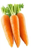 Fresh carrots for eating. Three bright orange carrots with green tops on a white background, ideal for healthy recipes or snacks. photo