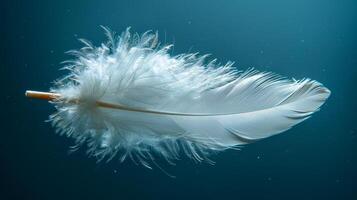 Feather gliding through clear water. A delicate white feather floats gracefully beneath the water's surface, illuminated by soft light. photo