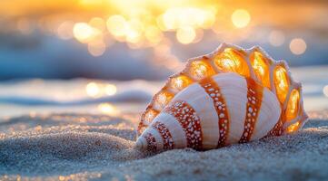 Beautiful seashell at sunset on beach. A stunning seashell rests on fine sand while waves gently lap in the background during a vibrant sunset. photo