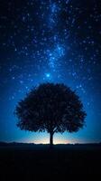 Starry night sky above a solitary tree. A large tree stands alone against a vast, star-filled sky at twilight, creating a serene and peaceful atmosphere. photo