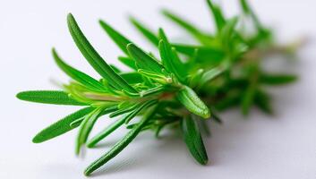 Freshly picked rosemary herb on a white surface showcasing its vibrant green leaves and distinctive texture in natural light photo