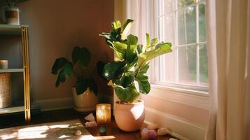 Bright indoor plants near a window create a serene environment with soft golden light in the afternoon photo