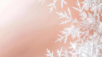 Sparkling white falling snowflakes warm, gently against a soft, christmas pinkish background create a magical winter scene photo