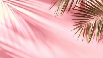 Pastel pink backdrop leaf palm summer silhouettes, generating soft tropical featuring vibrancy photo