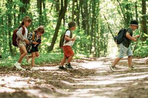 Weekend hiking., Kids in forest at summer ,daytime together photo