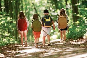 With,backpacks. Kids in forest at summer, daytime together photo