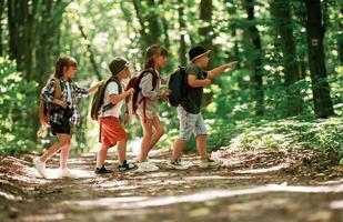 Going, to, the, side. Kids in forest at summer daytime together photo