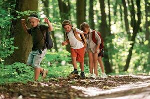 Going ,on the pathway.. Kids in forest at summer daytime together photo