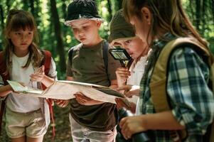 Looking at ,the,, map. Kids in forest at summer daytime together photo