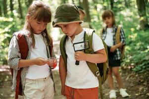 Little tourists.,, Kids, in, forest at summer daytime together photo