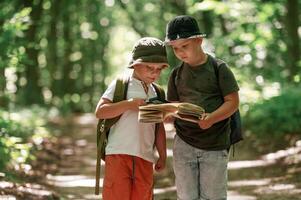 Weekend hiking. Kids in forest ,at summer daytime together photo