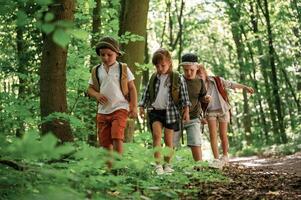 Adventure ,time. Kids in forest at summer daytime together photo