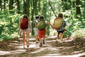 View, from the back. Kids in forest at, summer daytime together photo