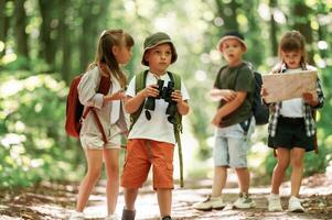 Walking together. Kids ,in forest at summer daytime photo