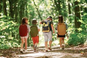 Conception, of hiking. Kids in forest at summer daytime together photo