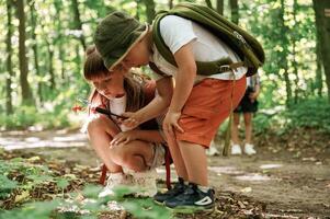 Sitting, looking at, the plants. Kids in forest at summer daytime together photo