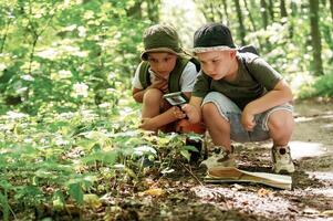 Kids in, forest at summer daytime together. photo