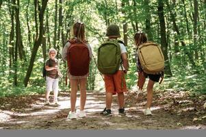 Long ,way, ,exploring. Kids in forest at summer daytime together photo