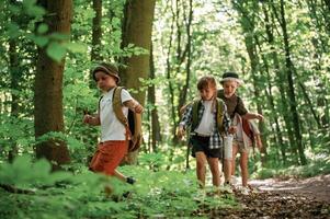 Bunch, of green plants and leaves. Kids in forest at summer daytime together photo